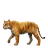 Tigre