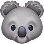 Coala
