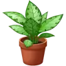 Roślina doniczkowa Emoji 🪴 image - WhatsApp style