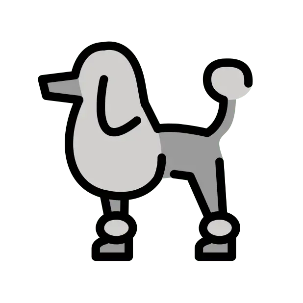 贵宾犬