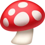 蘑菇