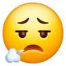 Face Exhaling Emoji 😮‍💨 image - Samsung style