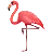 フラミンゴ