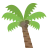 ต้นปาล์ม