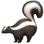 臭鼬