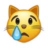 Faccia di gatto che piange