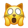 疲れた猫の顔