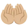Palms Up Together: Medium-Light Skin Tone Emoji 🤲🏼 image - Google Noto Color style