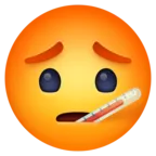 Face With Thermometer