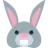 Rabbit Face