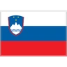 Flag: Slovenia Emoji 🇸🇮 image - Skype style