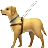 盲導犬