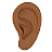 Ear: Medium-Dark Skin Tone