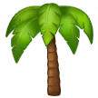 Palm Tree