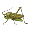 蟋蟀 Emoji 🦗 image - Emojidex style