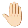 Raised Back Of Hand: Light Skin Tone Emoji 🤚🏻 image - Google Noto Color Animated style