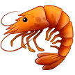 Shrimp