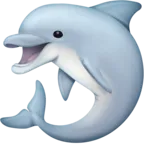 Dolphin