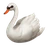 cigno