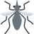 Mosquito