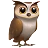 フクロウ