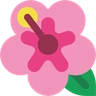 Emoji Ibisco 🌺 image - Skype style