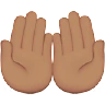 Palms Up Together: Medium Skin Tone Emoji 🤲🏽 image - Apple style