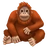 Orangutan