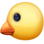 Baby Chick