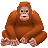 オランウータン