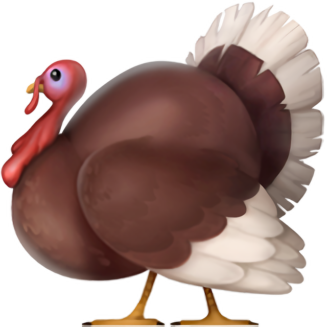 Thanksgiving Day in USA