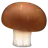Brown Mushroom