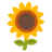 Girasol
