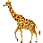 キリンの顔