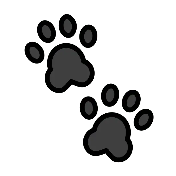 Paw Prints