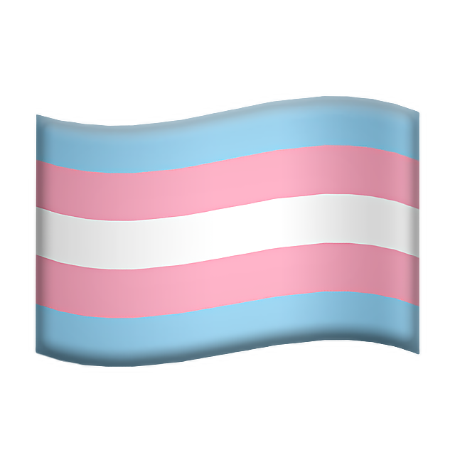 Transgender Flag