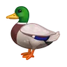 鸭
