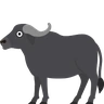 Búfalo de agua Emoji 🐃 image - Skype style