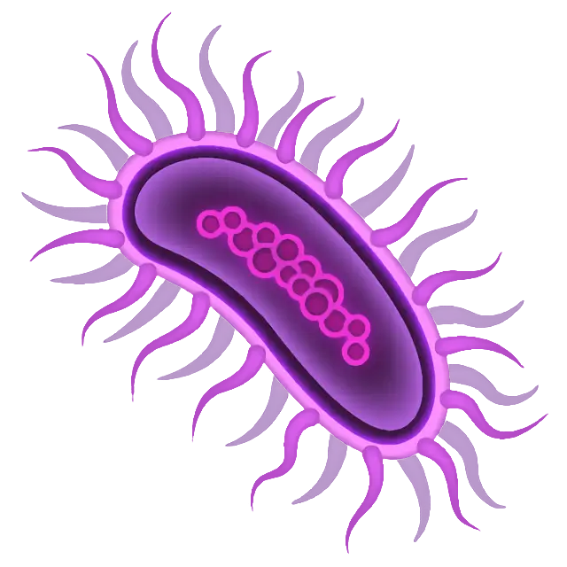Microbio
