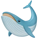 Whale