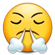 Face With Steam From Nose