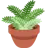 Potted Plant