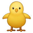 Front-Facing Baby Chick