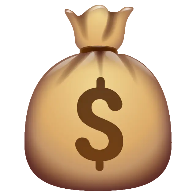 Money Bag