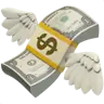 Money With Wings
