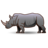 코뿔소