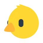 Baby Chick