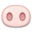 Nariz de porco
