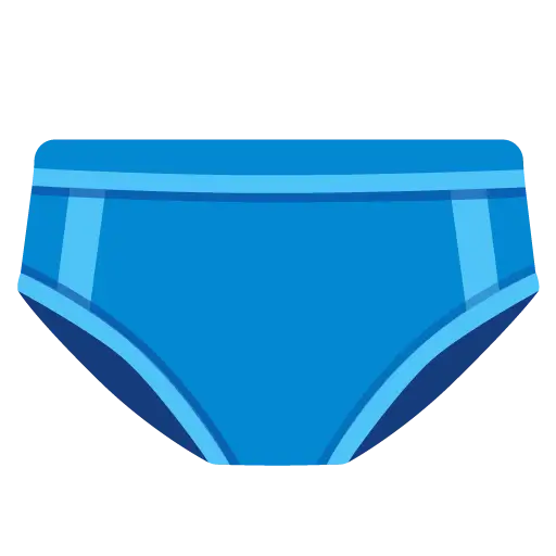 Briefs