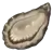 牡蠣